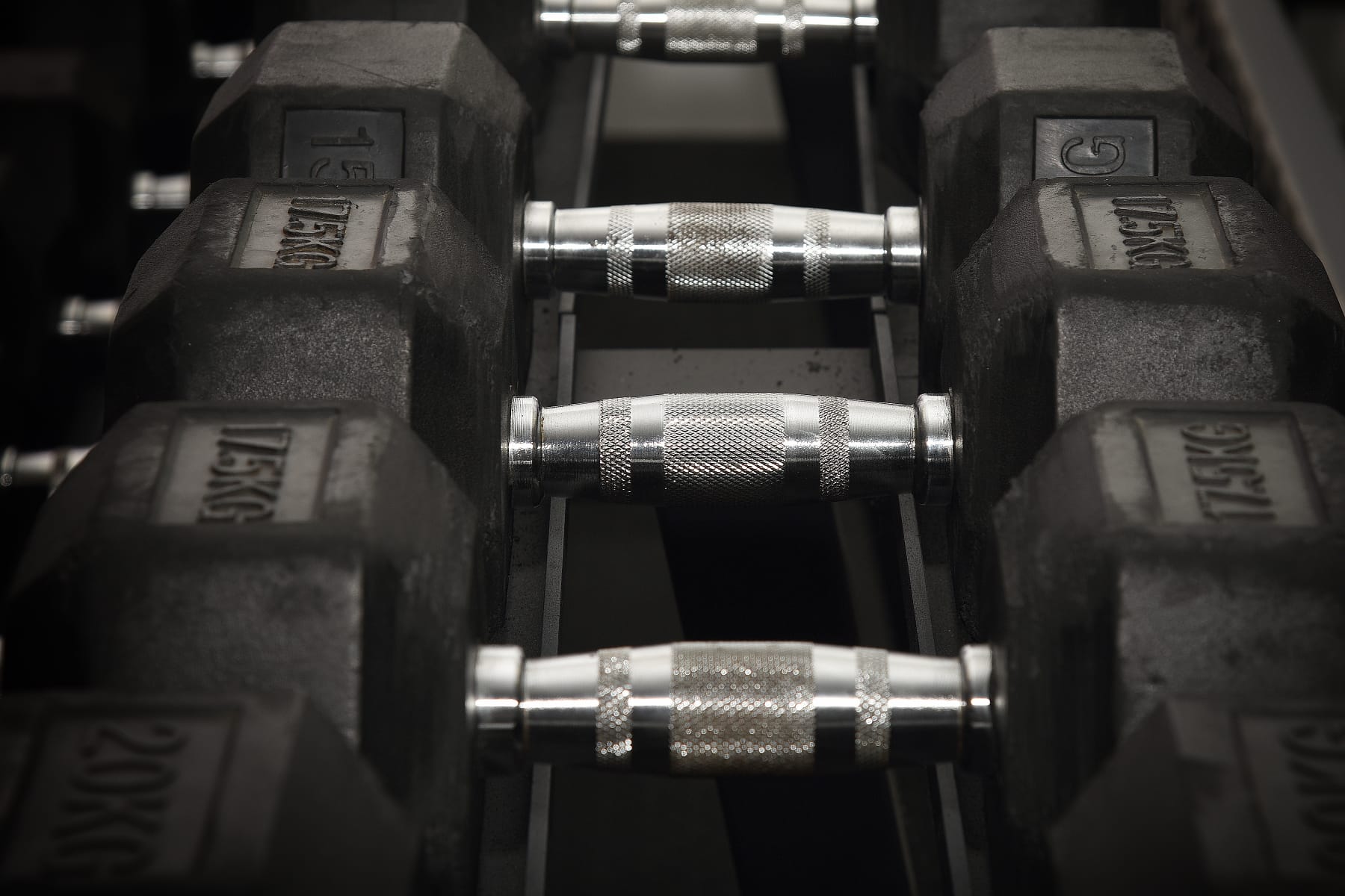 Dumbbells ready for a Fitn’Flex training session